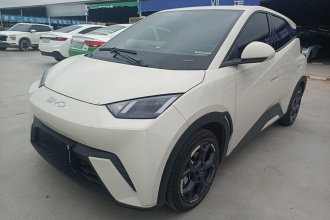 比亚迪 海鸥 2024款 荣耀版 305km 自由版