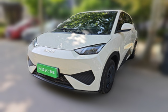 比亚迪 海鸥 2025款 智驾版 305km 活力版