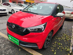 江铃集团新能源 易至EV3 2021款 小雷达酷跑型