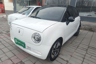 欧拉黑猫 2022款 351km 舒适型 三元锂