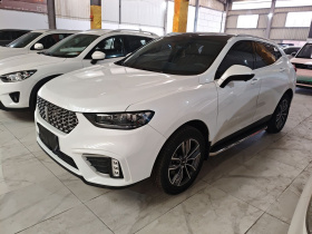 魏牌 VV5 2021款 1.5T 两驱颜先锋