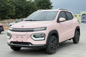 东风纳米 纳米BOX 2022款 追风版 331KM 标准型