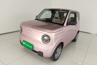 吉利银河 2023款 熊猫mini 200km 耐力熊