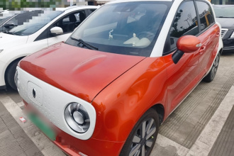 欧拉黑猫 2021款 351km 豪华型