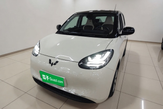 五菱汽车 五菱缤果 2023款 410km 灵犀尊享款