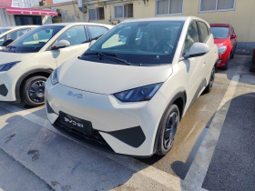 比亚迪 海鸥 2025款 智驾版 305km 活力版