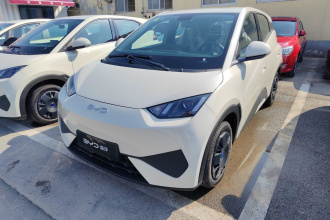 比亚迪 海鸥 2025款 智驾版 305km 活力版