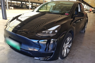 特斯拉 Model Y 2021款 标准续航后驱版
