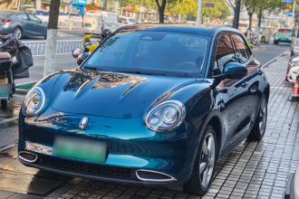 欧拉好猫 2021款 400km标准续航 维纳斯版 磷酸铁锂