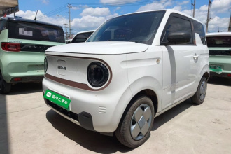 吉利银河 2024款 熊猫mini 200km 耐力熊
