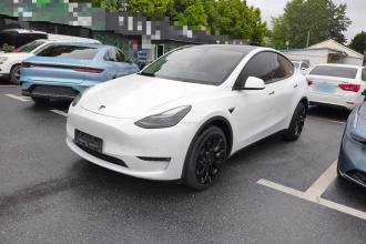 特斯拉 Model Y 2023款 长续航全轮驱动版