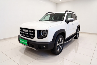 哈弗大狗 2021款 1.5T DCT两驱拉布拉多版