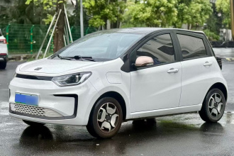 思皓 花仙子 2021款 302km 豪华型 30.2kWh