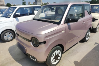 吉利银河 2025款 熊猫mini 210km 元气熊