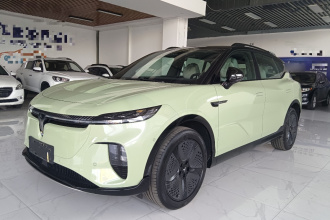 岚图汽车 岚图知音 2024款 超长续航智享版