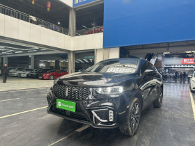 魏牌 VV5 2021款 1.5T 两驱智先锋