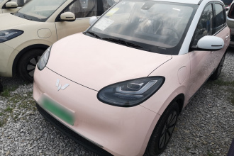 五菱汽车 五菱缤果 2023款 333km 悦享+款