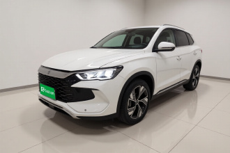 比亚迪 宋Pro新能源 2023款 冠军版 DM-i 110KM卓越型
