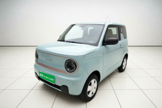 吉利银河 2023款 熊猫mini 200km 耐力熊
