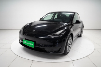 特斯拉 Model Y 2021款 标准续航后驱版