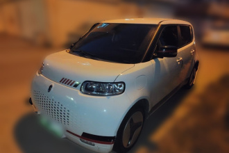 欧拉白猫 2020款 401km 长续航型