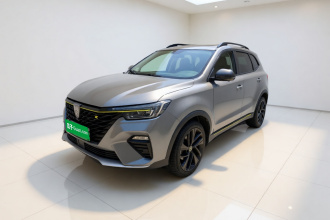 荣威RX5新能源 2020款 ePLUS 国潮荣麟豪华版