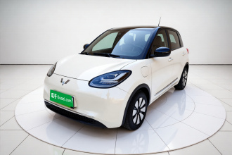 五菱汽车 五菱缤果 2024款 333km 灵犀互联款