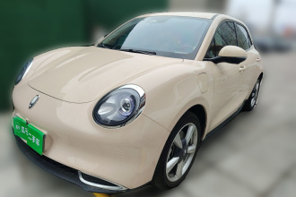 欧拉好猫 2023款 401km标准续航 尊贵型 磷酸铁锂