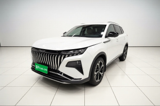 东风风神 皓极 2022款 马赫动力 1.5T 敢爱版