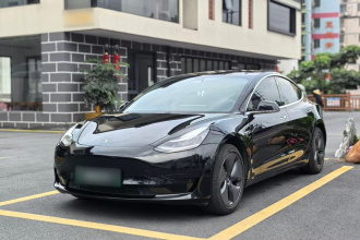 特斯拉 Model 3 2019款 标准续航后驱升级版