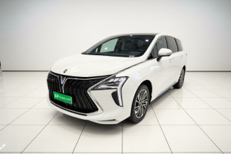 东风风行 风行游艇 2024款 1.5T DCT 观海版