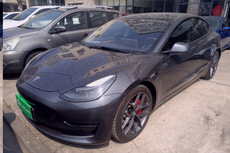 特斯拉 Model 3 2021款 Performance高性能全轮驱动版