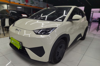 比亚迪 海鸥 2025款 智驾版 305km 活力版