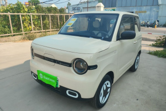 吉利银河 2025款 熊猫mini 210km 元气熊