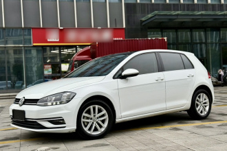 大众 高尔夫 2019款 1.6L 自动舒适型 国V