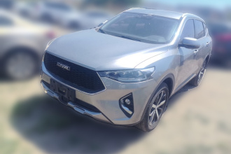 哈弗F7 2019款 1.5T 两驱i潮 国VI