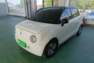 欧拉黑猫 2021款 301km 基础型