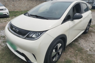 比亚迪 海豚 2023款 420km 时尚版