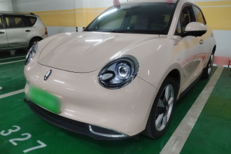 欧拉好猫 2021款 400km标准续航 维纳斯版 三元锂