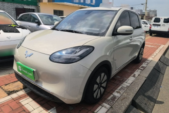 五菱汽车 五菱缤果 2023款 203km 舒享款