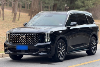 广汽传祺 传祺GS8 2022款 领航系列 2.0TGDI 两驱豪华智联版（七座）