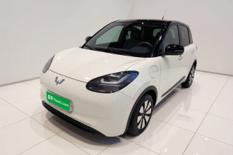 五菱汽车 五菱缤果 2024款 333km 悦享款