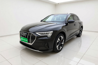 奥迪e-tron(进口) 2019款 55 quattro 技术型
