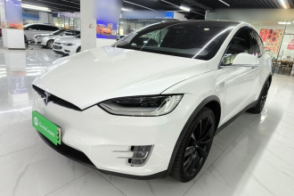 特斯拉 Model X 2019款 长续航版