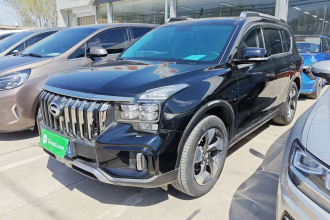 广汽传祺 传祺GS8 2020款 GS8S 390T 两驱尊贵版