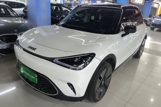 smart精灵#1 2022款 Premium版