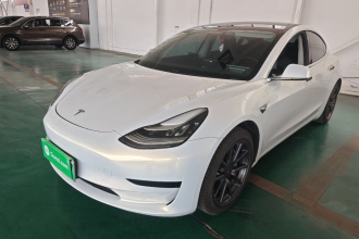 特斯拉 Model 3 2019款 标准续航后驱升级版