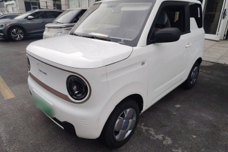 吉利银河 2023款 熊猫mini 200km 耐力熊