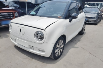 欧拉黑猫 2021款 351km 标准型