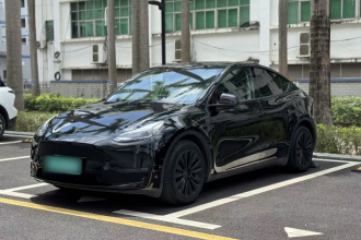 特斯拉 Model Y 2021款 标准续航后驱版